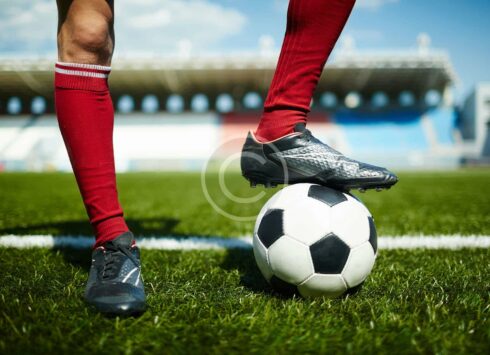 AI insights driving modern sports forecasting